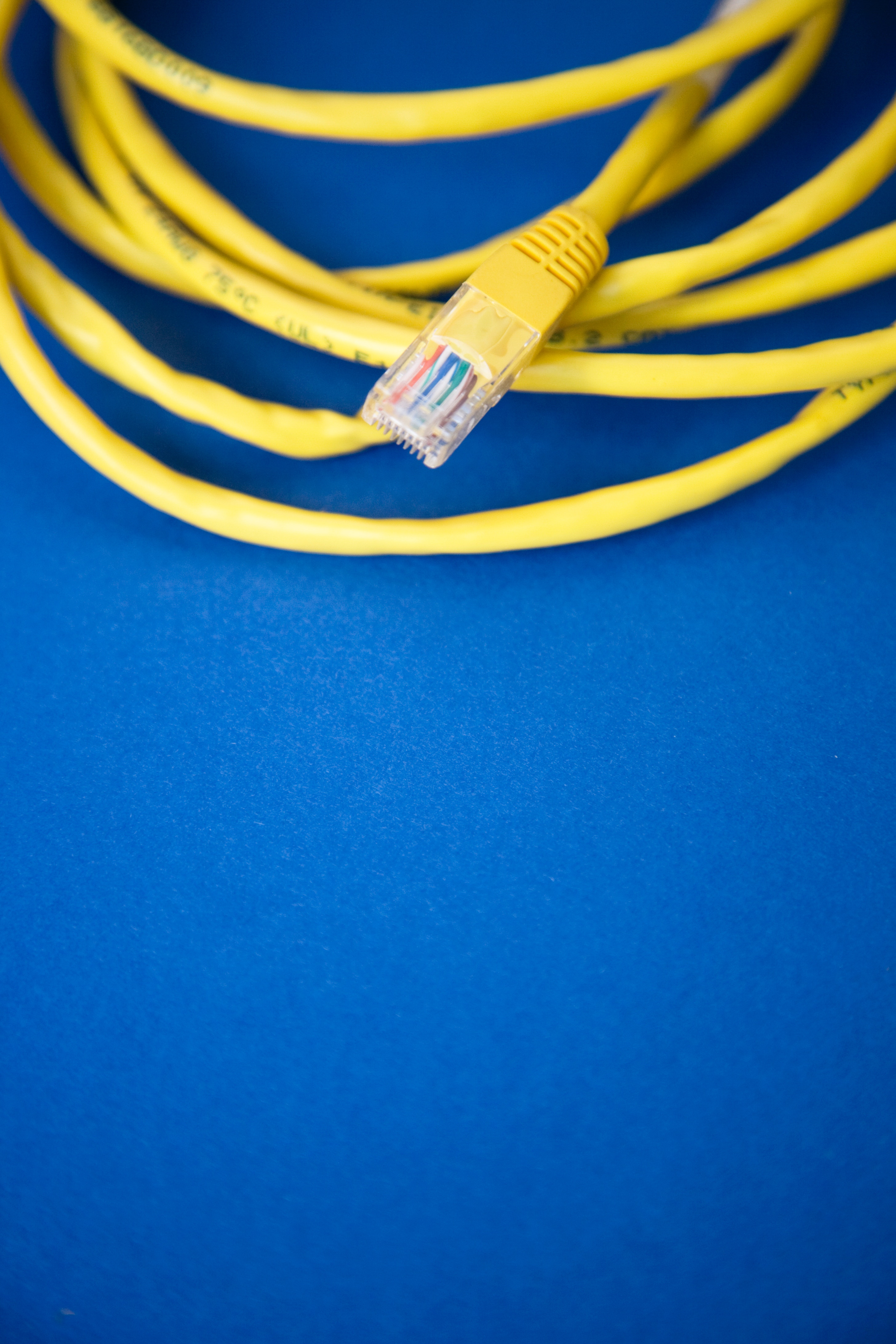 Image of yellow network cable on blue background. Photo by Markus Spiske on Unsplash